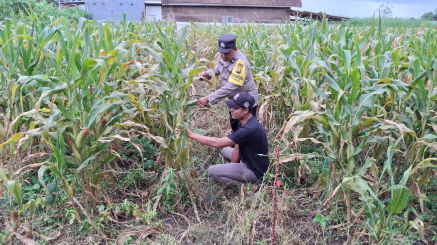 Polres Malang Gencarkan Pemanfaatan Pekarangan dan Potensi Desa untuk Dukung Ketahanan Pangan